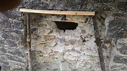 acastle
                          101420.jpg